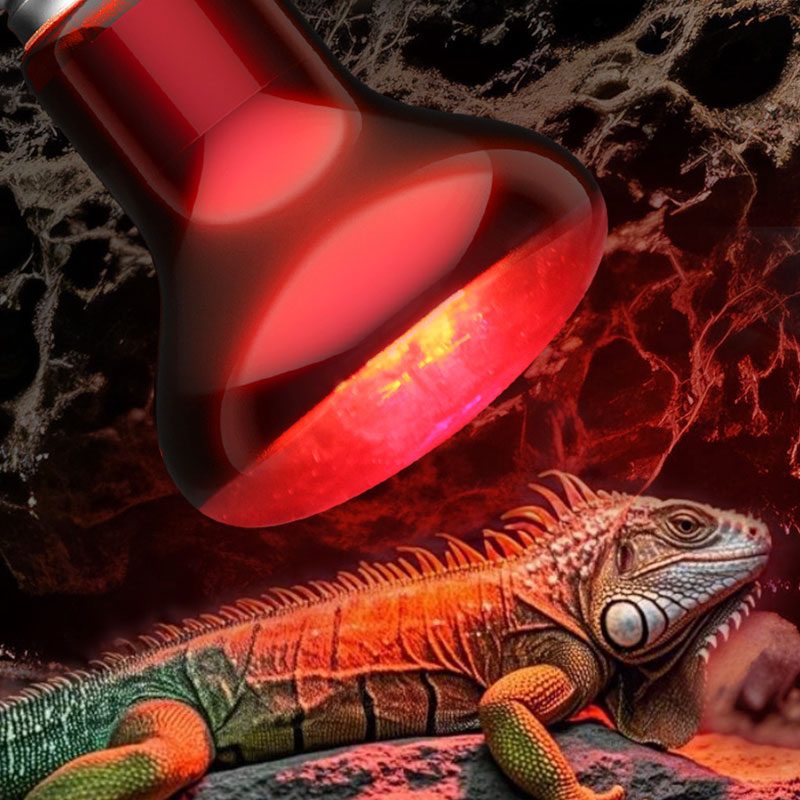 Gecko Lighting & Decor - Инфракрасная лампа для рептилий 100В/220В, инфракрасная