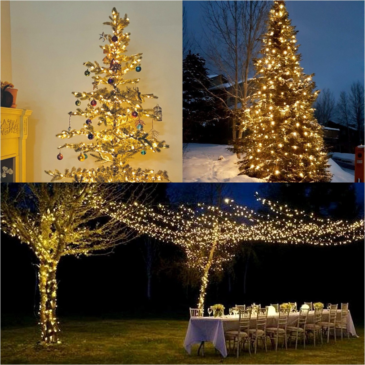 Более светодиодный зеленый про – обзор и цена Lighting Decor And More